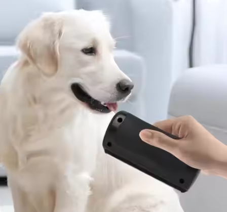 Pet Professional Brush Dog Hair