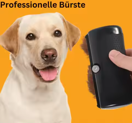 Pet Professional Brush Dog Hair