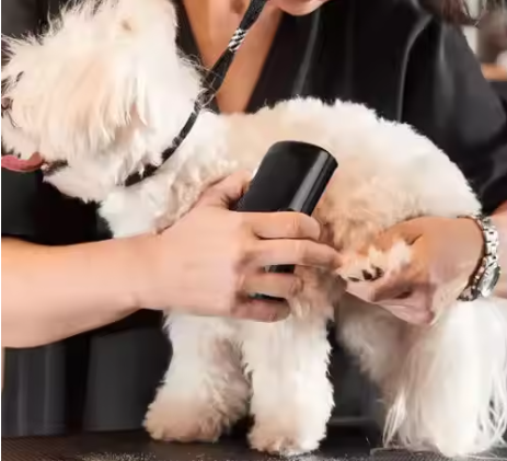 Pet Professional Brush Dog Hair